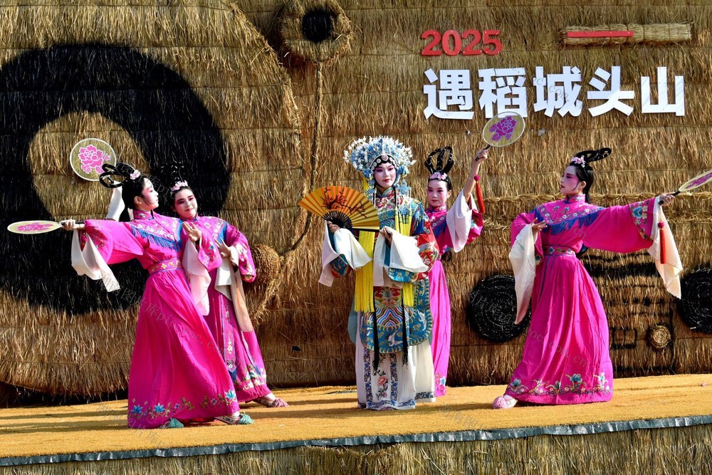 城头山欢迎您