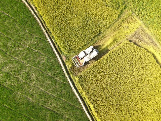 双峰县　收割机　农友集团　农机　粮食生产　双季稻　早稻　双抢