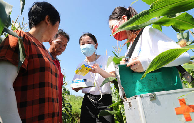 送医送药 田间地头 大学生 三下乡