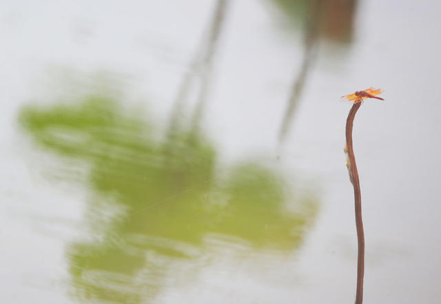 南岳 荷塘 水帘洞