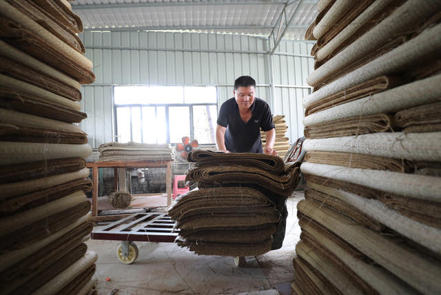 席草 草席 祁东 金桥 增收 