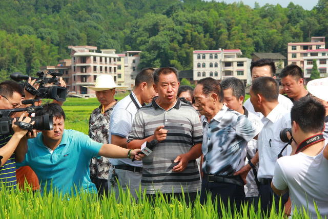 袁隆平 超级稻 农业 隆回