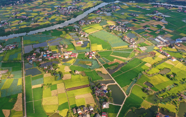 初秋 田园 丰收 景色