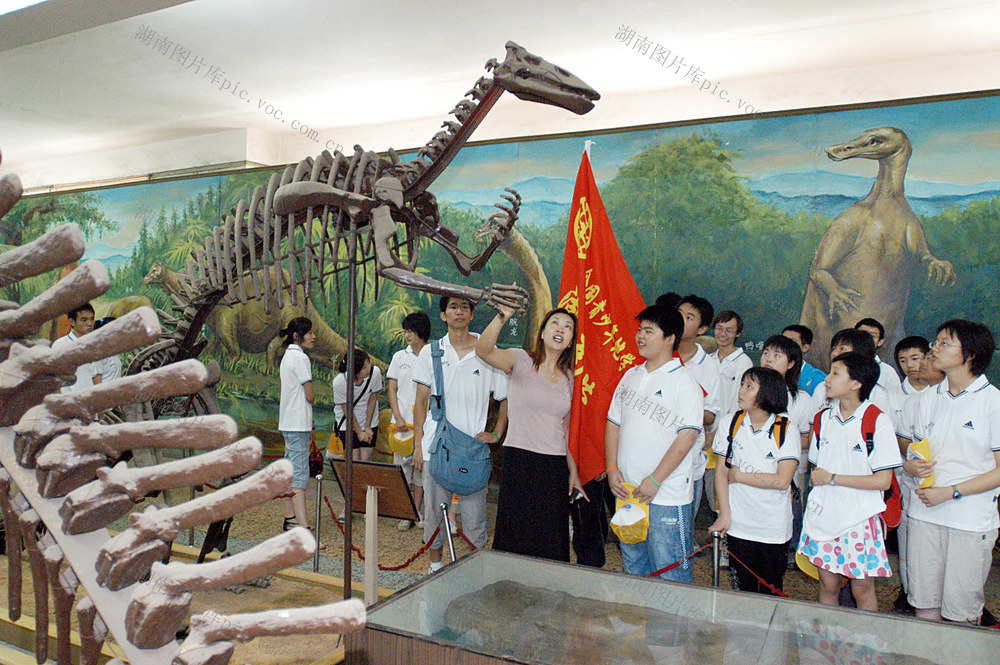 第24届湖南青少年地学夏令营