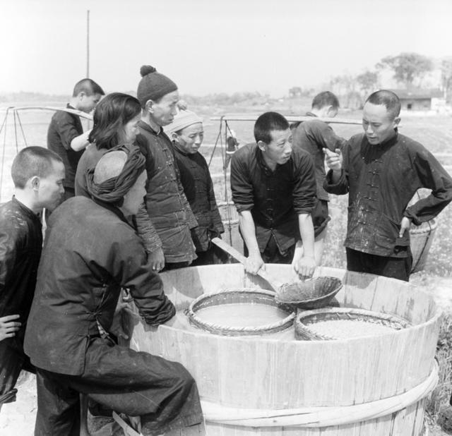 农业生产 春耕 