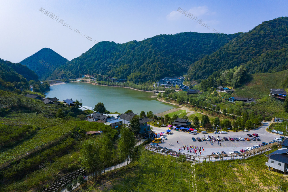 葡萄 乡村振兴 旅游  种植 葡萄沟 怀化中方