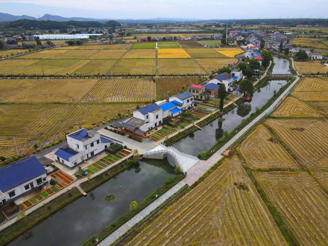 团山湖村  雷锋 “最美奋斗者” 社会主义新农村