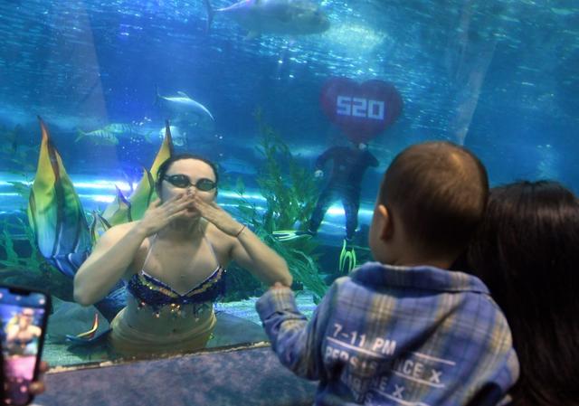 美人鱼 海底世界