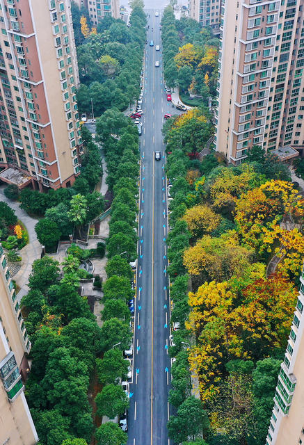 道路 提质 小区宜居
