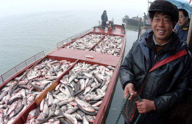 华容东湖开湖捕鱼