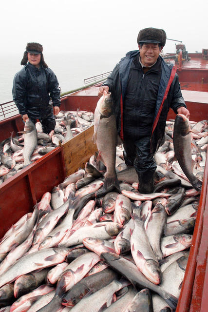 华容东湖开湖捕鱼
