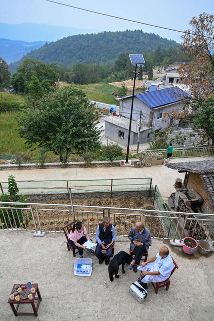 张家界 武陵源 医保 卫健 乡村振兴 民生