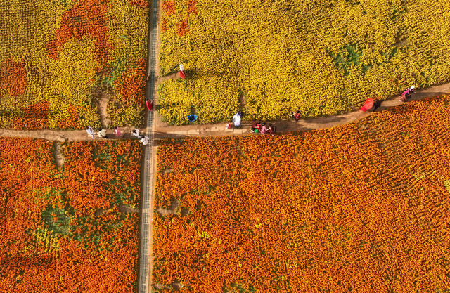 公园 自然 美景 冬日 暖阳