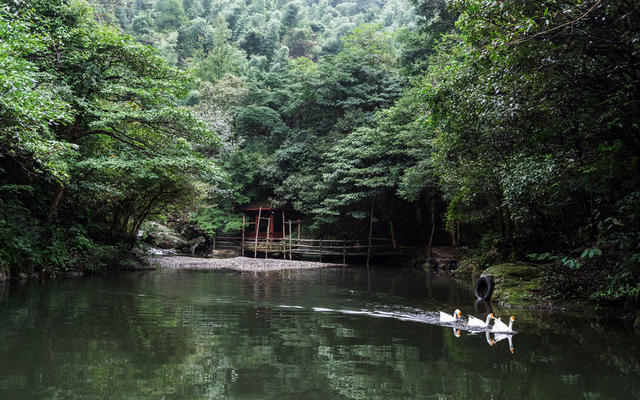 浏阳  周洛大峡谷  山涧  宁静
