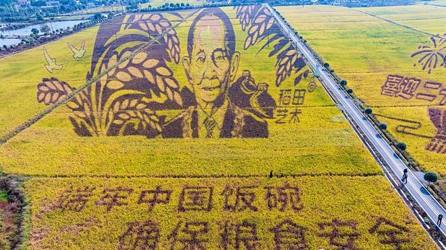 稻田艺术  袁隆平巨像