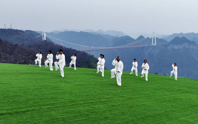太极拳 师生 户外 锻炼