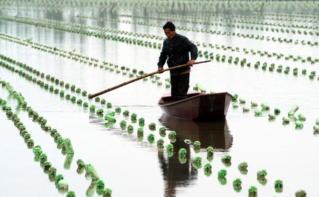  Changde Pearl Industry