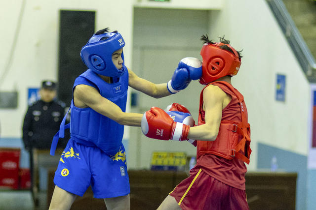 武术 传统 搏击 训练 比赛 比武 体育 竞技 胜利 体育运动