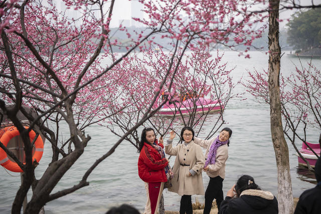 踏春赏花好时节