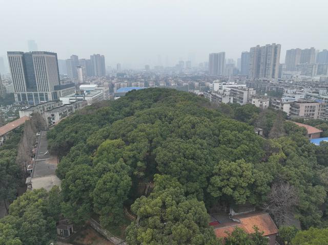 三号墓 马王堆 墓坑 遗址 博物院 航拍马王堆