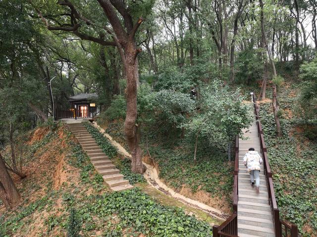 三号墓 马王堆 墓坑 遗址 博物院 航拍马王堆