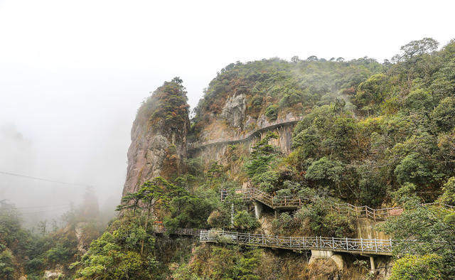 莽山 莽山国家森林公园 奇峰 古松 山水画
