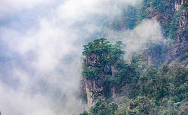 莽山 莽山国家森林公园 奇峰 古松 山水画