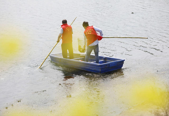 世界水日 环保 护水