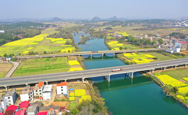 交通 大桥 油菜花