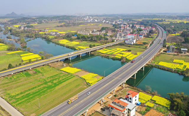 交通 大桥 油菜花
