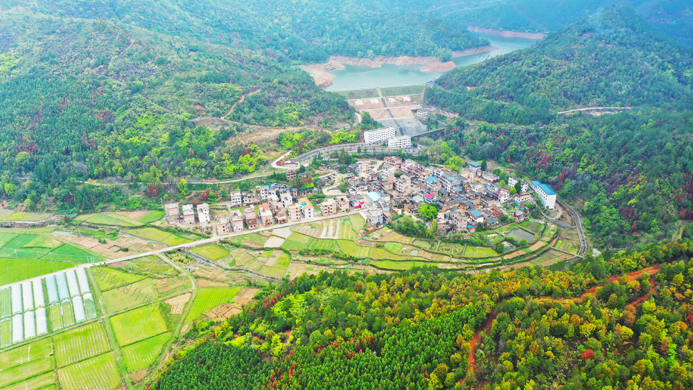 乡村  生态   风景