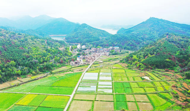 乡村  生态   风景