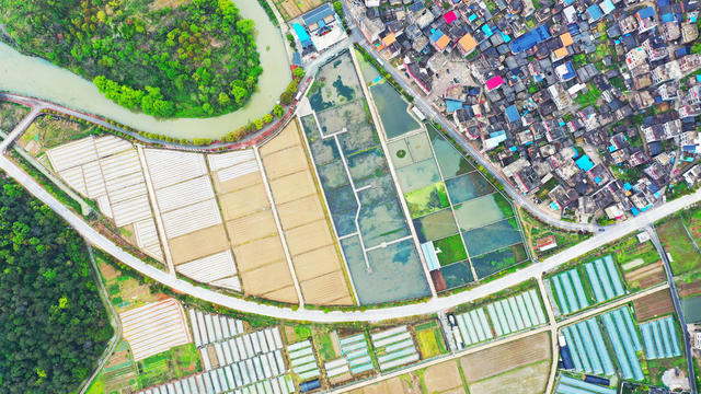 春耕  乡村  风景  生态
