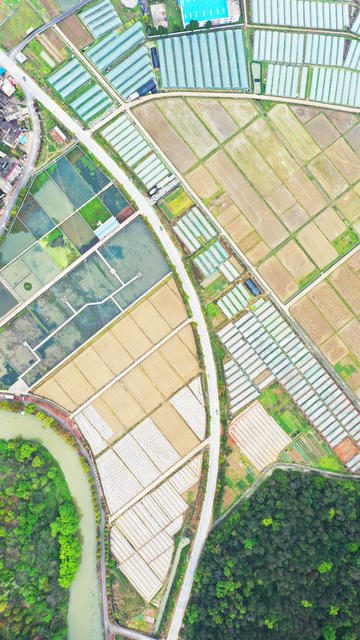 春耕  乡村  风景  生态