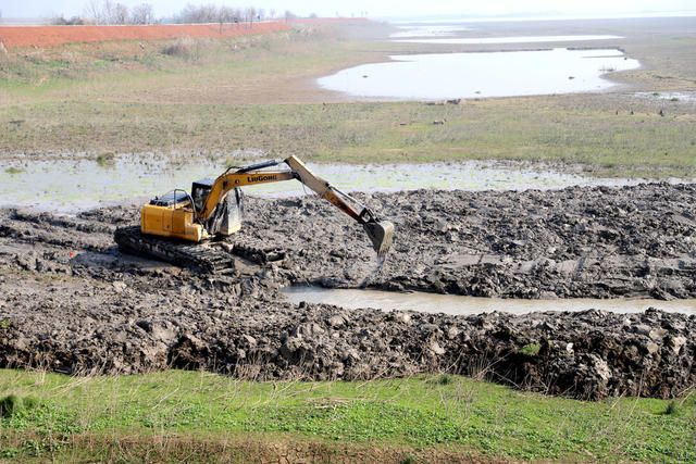 洞庭湖,湿地,防浪堤生态修复,候鸟,西洞庭湖国家城市湿地公园