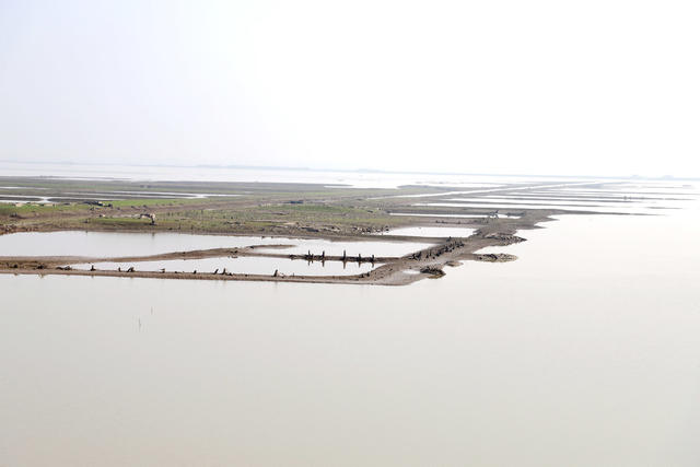 洞庭湖,湿地,防浪堤生态修复,候鸟,西洞庭湖国家城市湿地公园