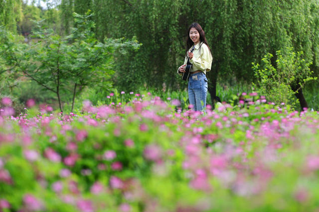 春光 踏青 休闲 
