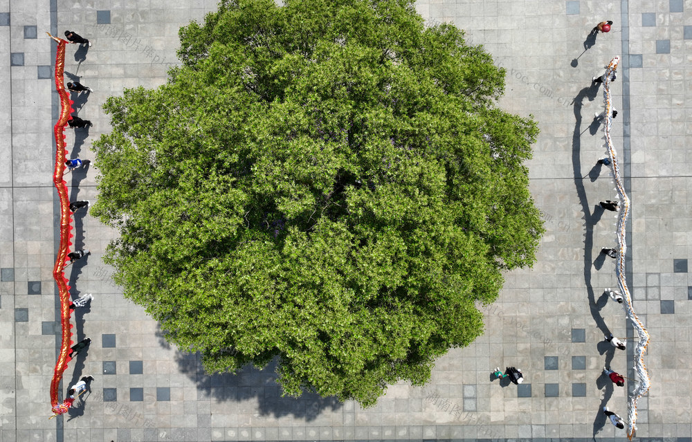 高校 舞龙 体育课