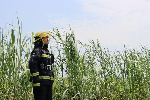 消防员,消防员与大自然合影,创意拍摄,小满节气