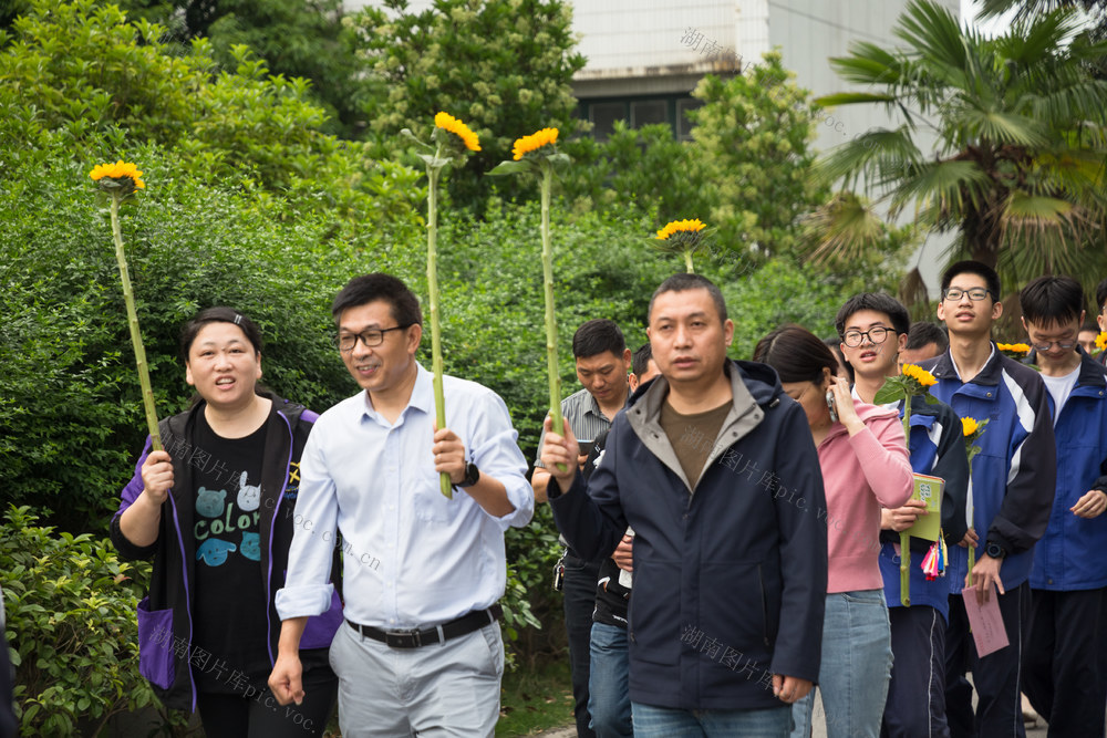 成人礼  高三  学生  学校  老师  向日葵