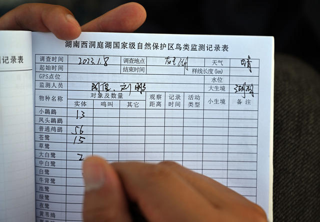 西洞庭湖 自然保护区 候鸟 湿地 监测 生态
