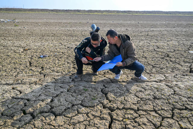 东洞庭湖 自然保护区 候鸟 生态 野生动物 湿地 