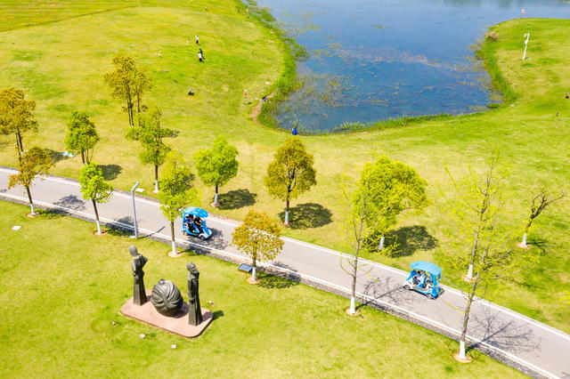 湿地 生态 防疫 开园 游玩  