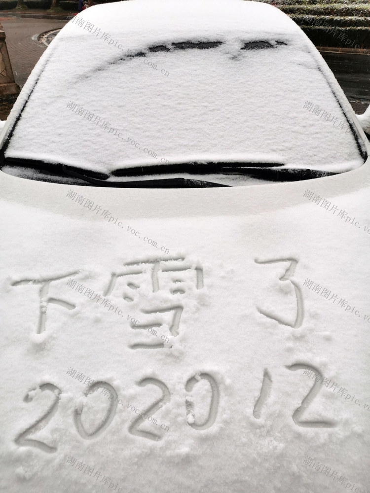  Snow, low temperature, rain, snow, cold wave, strong wind, Changsha Ginkgo biloba leaf, red maple, winter