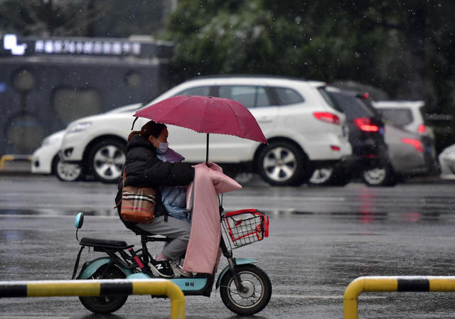 下雪 低温雨雪 寒潮大风 长沙 银杏叶 红枫 冬季