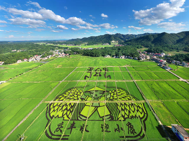 衡阳县 稻田 水稻 丰收 图案绘制 农业旅游 