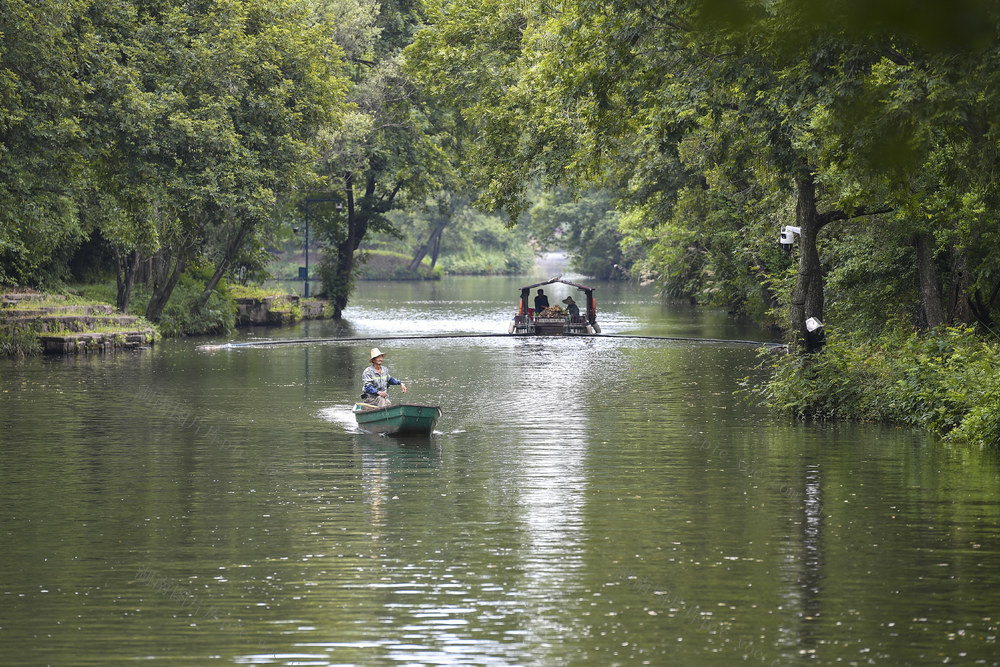 杭州 西溪湿地公园 天堂绿肺 生态 旅游胜地 摇橹船 城中次生湿地