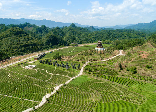 界亭驿村 胜利乡村 茶园 水果采摘 游步道 美丽乡村 
