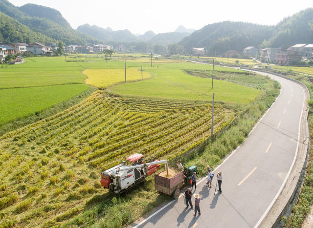 乡村振兴 赤滩村 丰收 乡村景色  