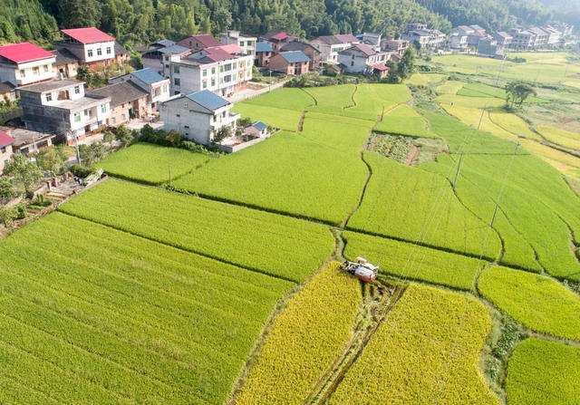 乡村振兴 赤滩村 丰收 乡村景色  